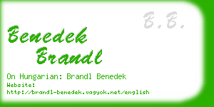 benedek brandl business card